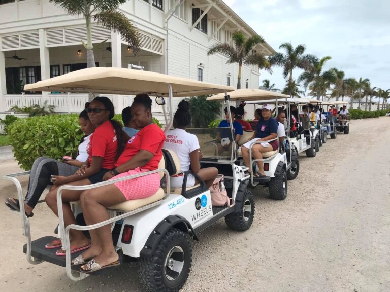 87469074 3325617780785737 5787577016723177472 o (2)